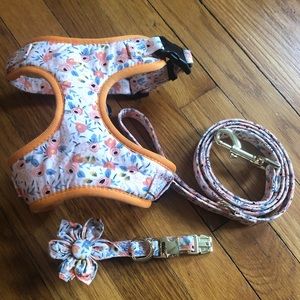 Beirui Cute Girl Dog Collars, Harnesses & Leashes Set - Size XS